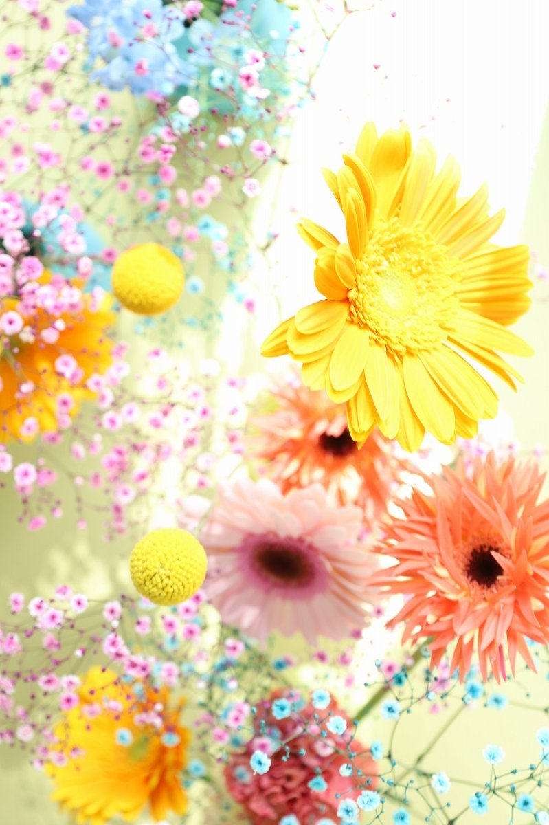 画像5: お花が枯れたらインテリアに！ブルー  ※配送期間：5/6(水)〜5/10(日)／日付指定不可 (5)