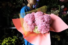 画像3: 不動の人気！ピンク系のアジサイ  ※配送期間：5/6(水)〜5/10(日)／日付指定不可 (3)