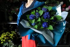 画像3: 爽やかな可愛らしさ、ブルー系のアジサイ  ※配送期間：5/6(水)〜5/10(日)／日付指定不可 (3)