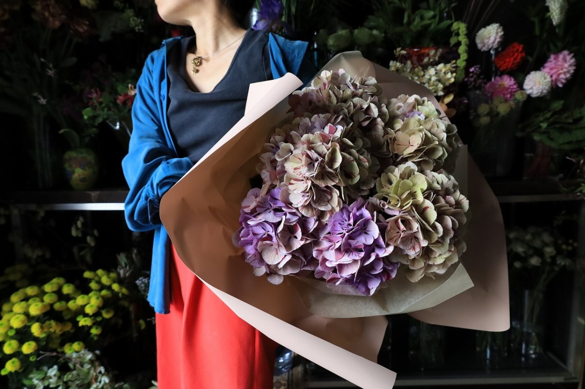 画像5: 珍しい色！アンティーク系のアジサイ  ※配送期間：5/6(水)〜5/10(日)／日付指定不可 (5)