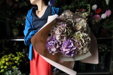 画像5: 珍しい色！アンティーク系のアジサイ  ※配送期間：5/6(水)〜5/10(日)／日付指定不可 (5)