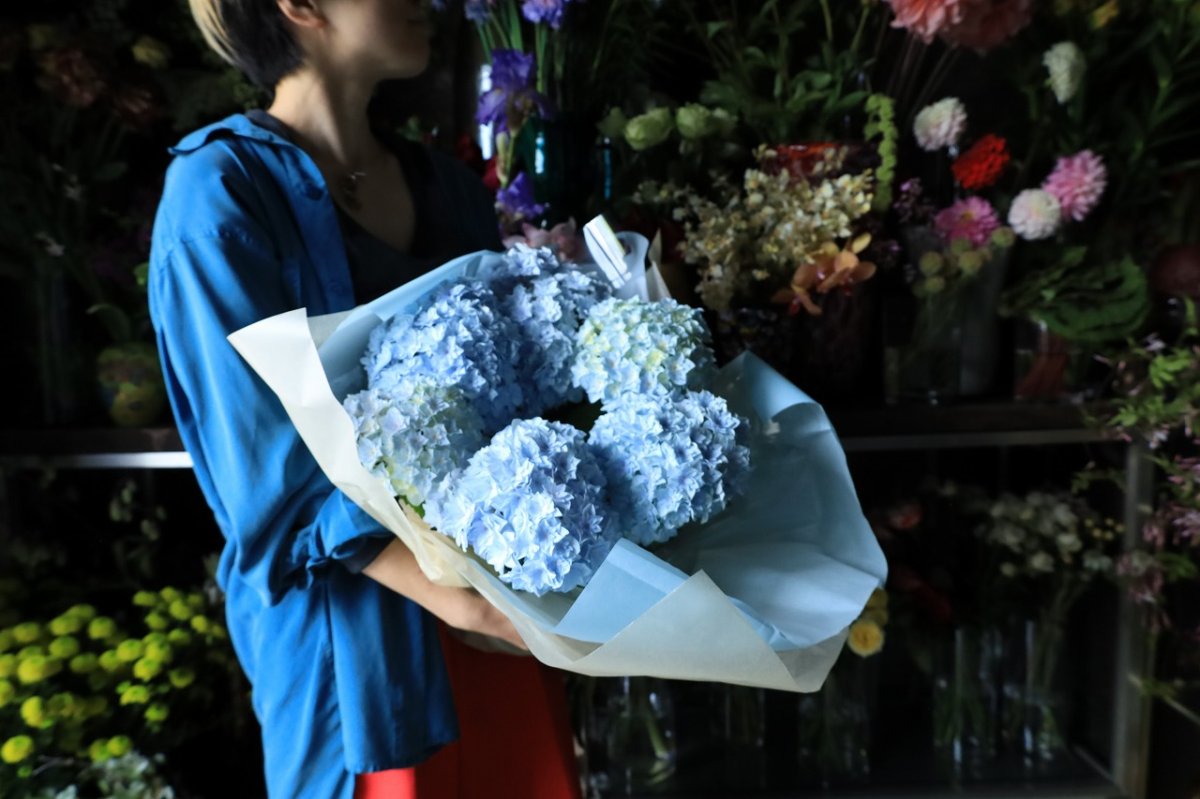 画像2: 爽やかな可愛らしさ、ブルー系のアジサイ  ※配送期間：5/6(水)〜5/10(日)／日付指定不可 (2)