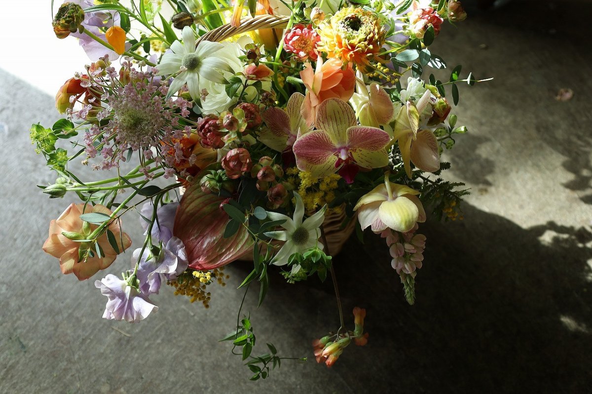 画像2: birthday6 (2)