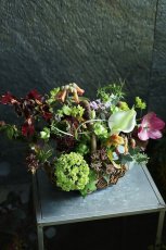 画像1: birthday4 (1)
