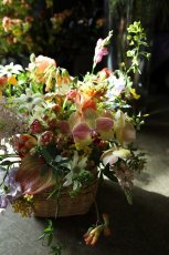 画像1: birthday6 (1)