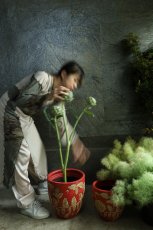 画像3: botanical flower base 大(花鉢) (3)
