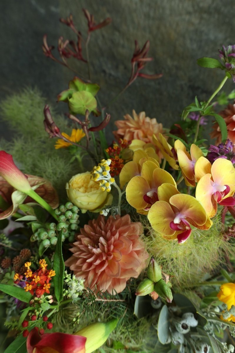 画像3: open10 (3)