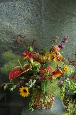 画像1: open10 (1)