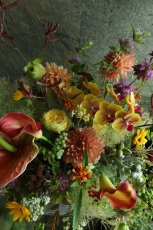 画像2: open10 (2)