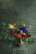 画像1: open12 (1)