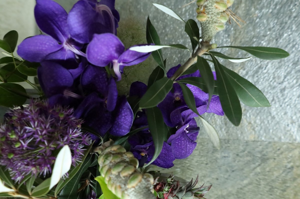 画像2: open16 (2)