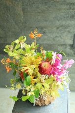 画像1: open15 (1)