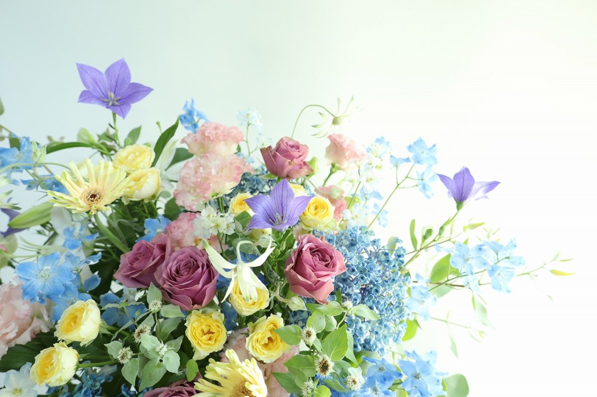 画像3: birthday17 (3)