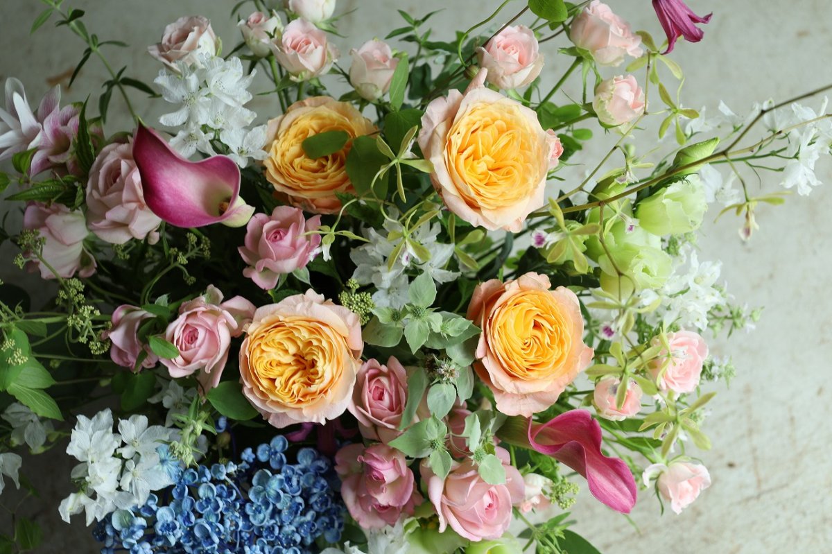 画像2: birthday16 (2)