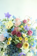 画像2: birthday17 (2)